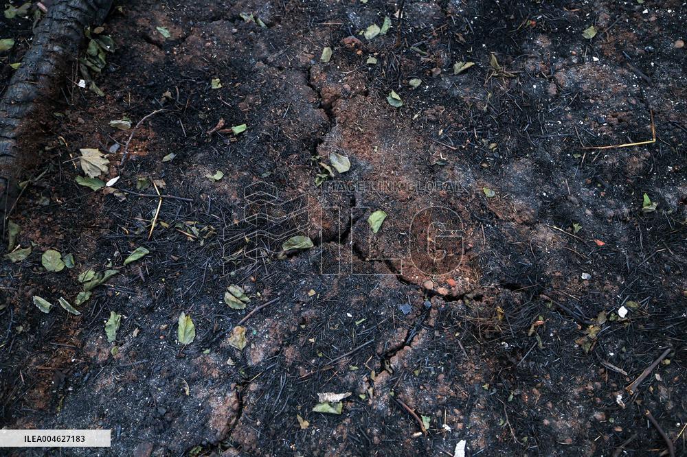 Wildfires in Canakkale - Turkey