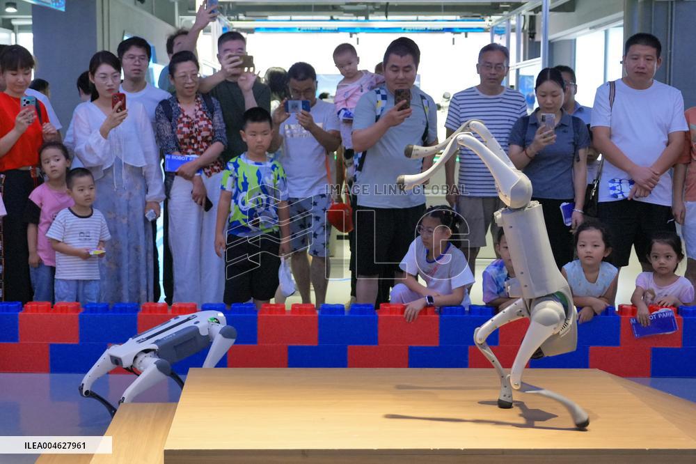 Robot Mall in Beijing