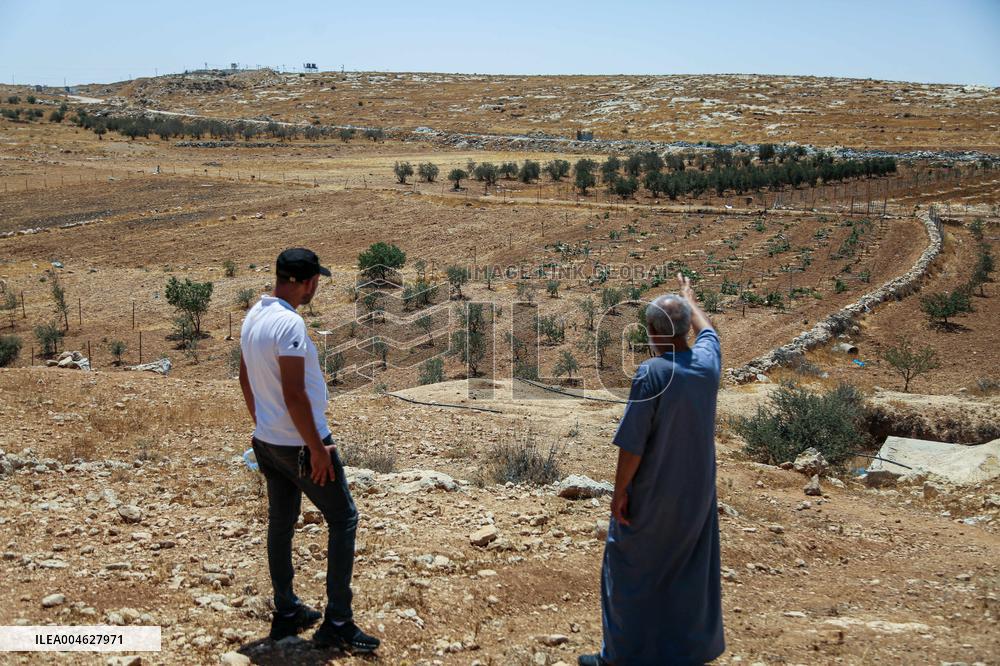 Israeli Settlers Destroy Palestinian Vineyards - West Bank