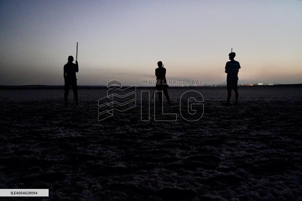 Banding Of 600 Flamingo Chicks - Spain