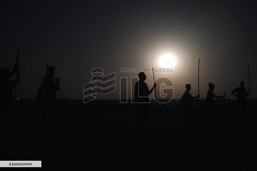 Banding Of 600 Flamingo Chicks - Spain