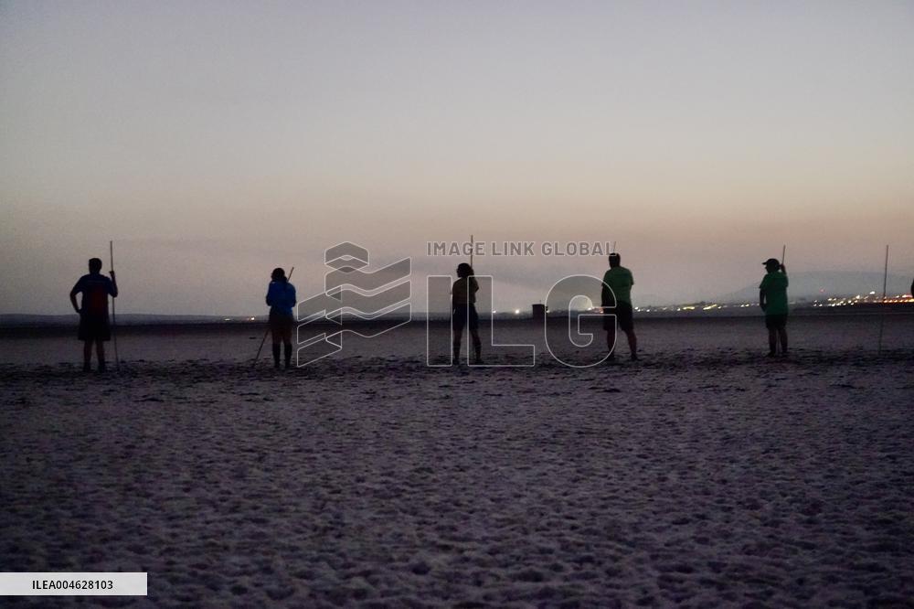 Banding Of 600 Flamingo Chicks - Spain