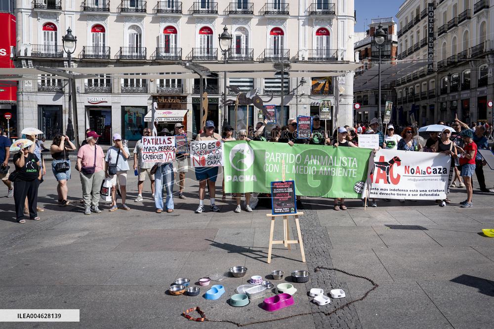 Animal Cruelty Protest After 32 Dogs Found Dead From Starvation - Madrid