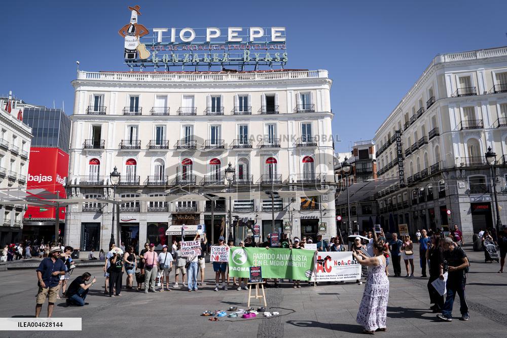 Animal Cruelty Protest After 32 Dogs Found Dead From Starvation - Madrid