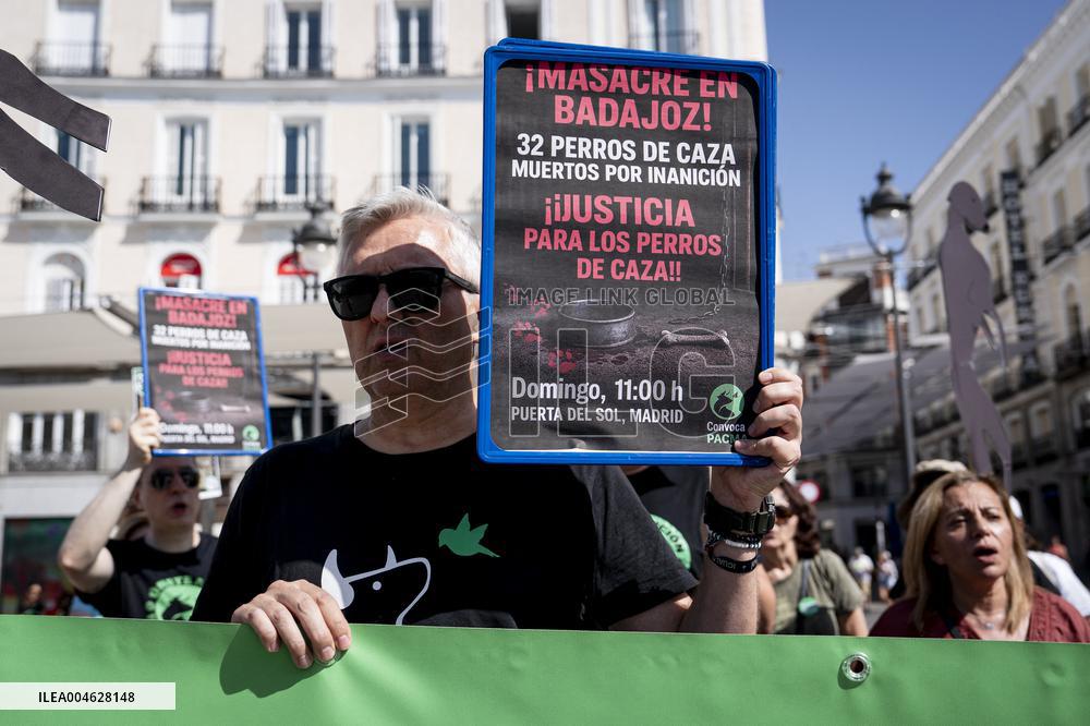 Animal Cruelty Protest After 32 Dogs Found Dead From Starvation - Madrid