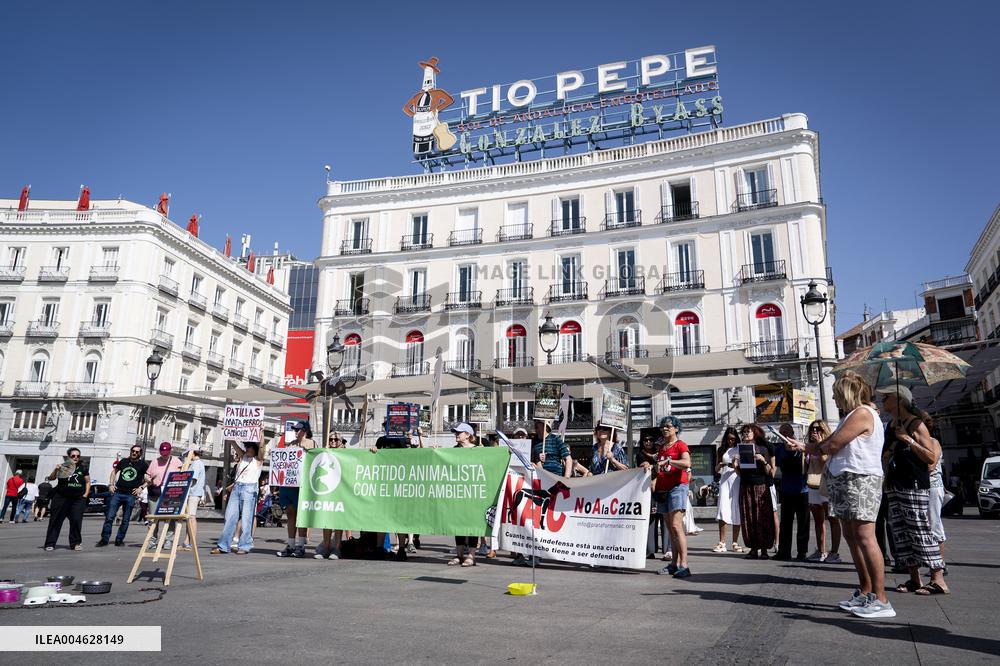 Animal Cruelty Protest After 32 Dogs Found Dead From Starvation - Madrid