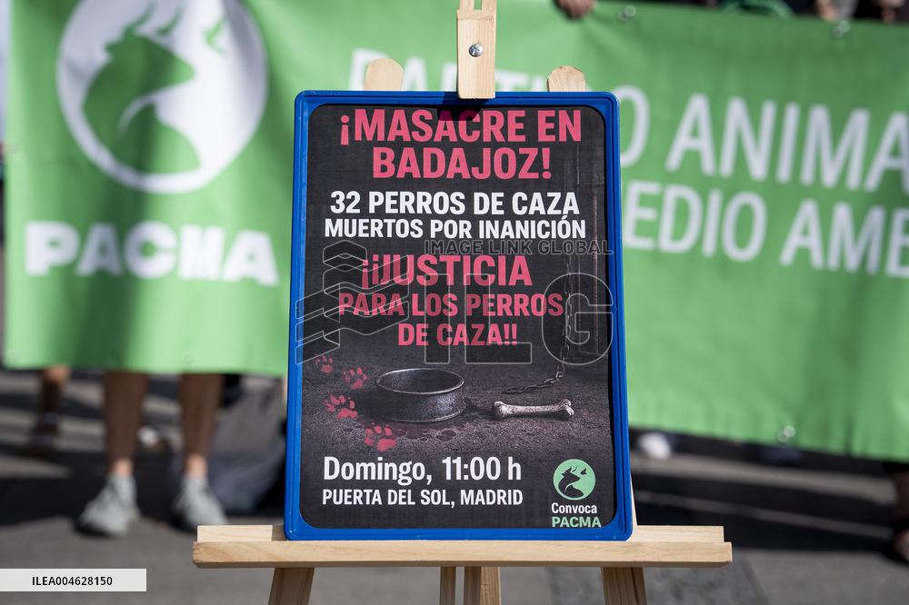 Animal Cruelty Protest After 32 Dogs Found Dead From Starvation - Madrid