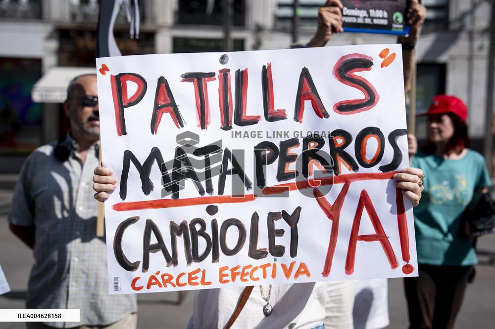 Animal Cruelty Protest After 32 Dogs Found Dead From Starvation - Madrid