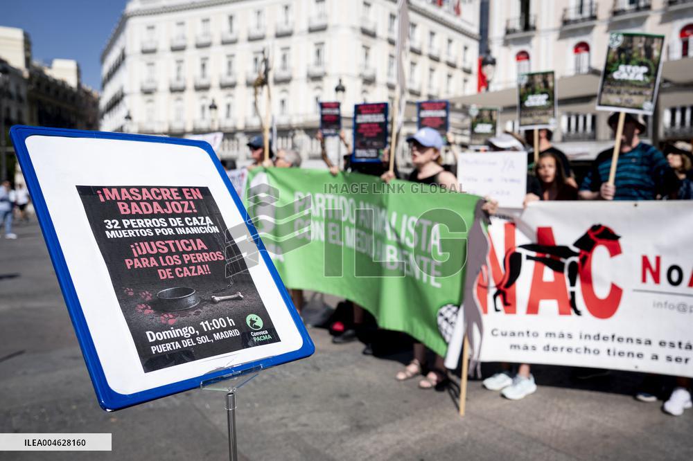 Animal Cruelty Protest After 32 Dogs Found Dead From Starvation - Madrid