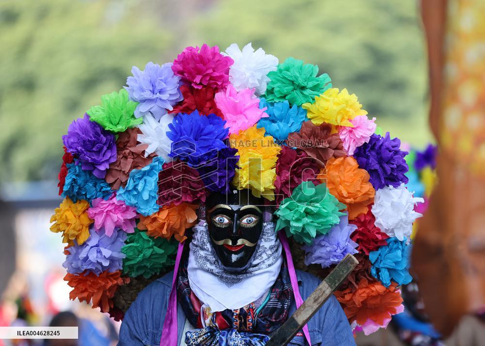 Indigenous Culture Parade - Mexico City