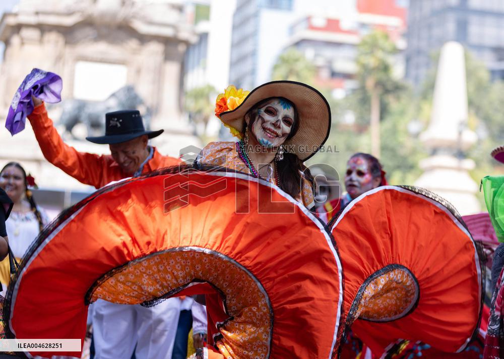Indigenous Culture Parade - Mexico City