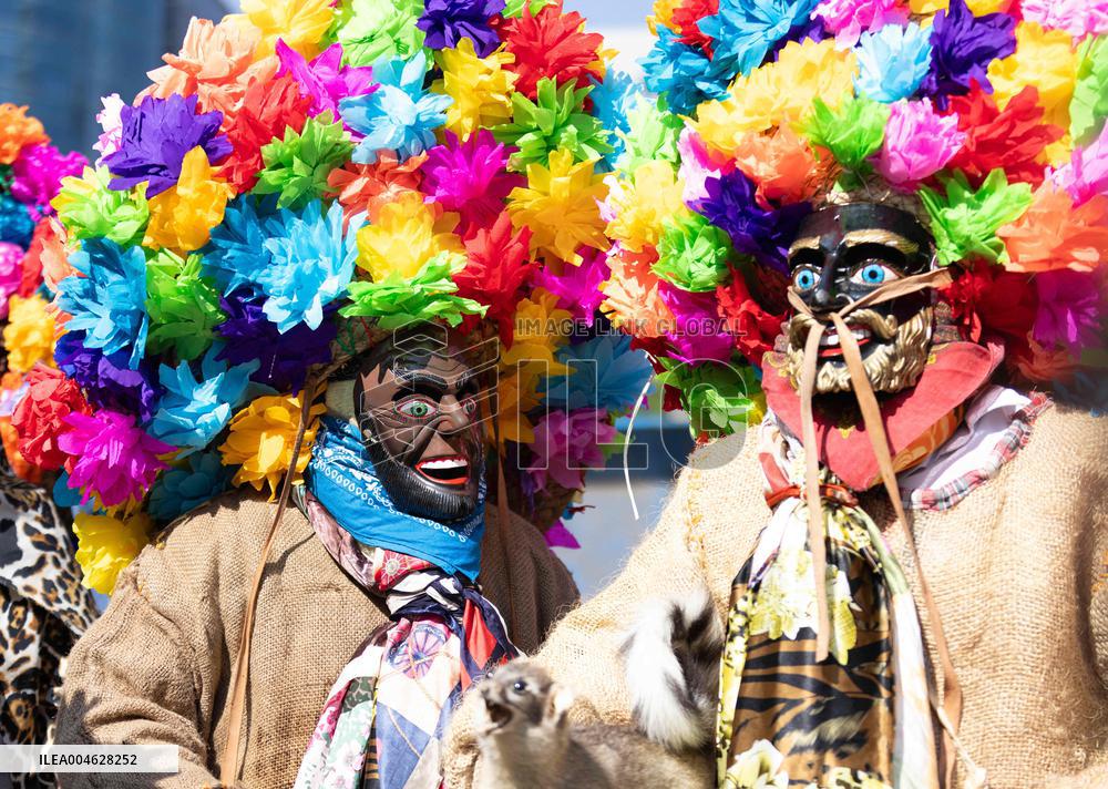 Indigenous Culture Parade - Mexico City