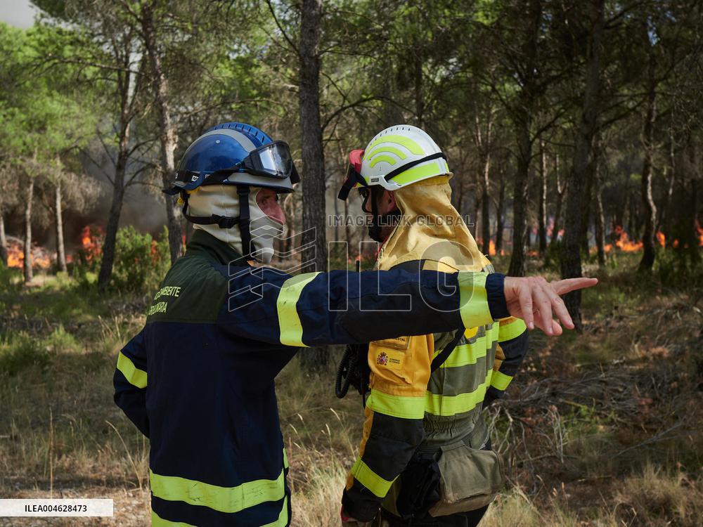 INFONA Plan Level 2 Upgrade Following Carcastillo Forest Fire - Spain