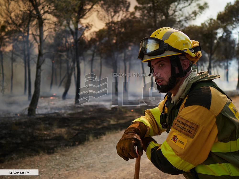 INFONA Plan Level 2 Upgrade Following Carcastillo Forest Fire - Spain