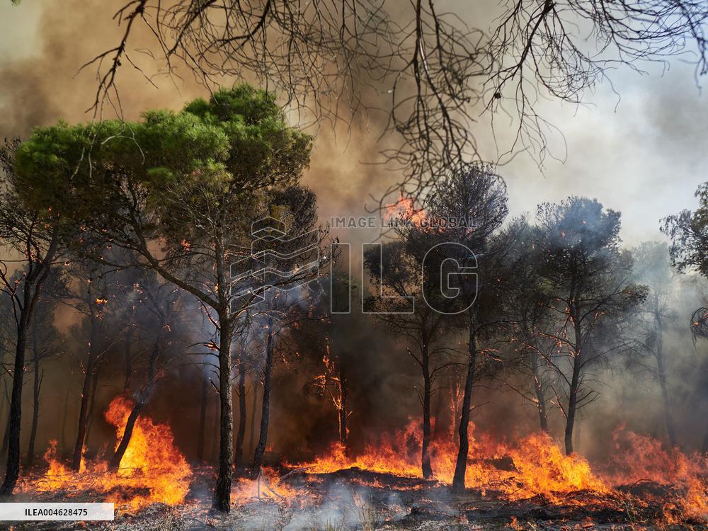 INFONA Plan Level 2 Upgrade Following Carcastillo Forest Fire - Spain
