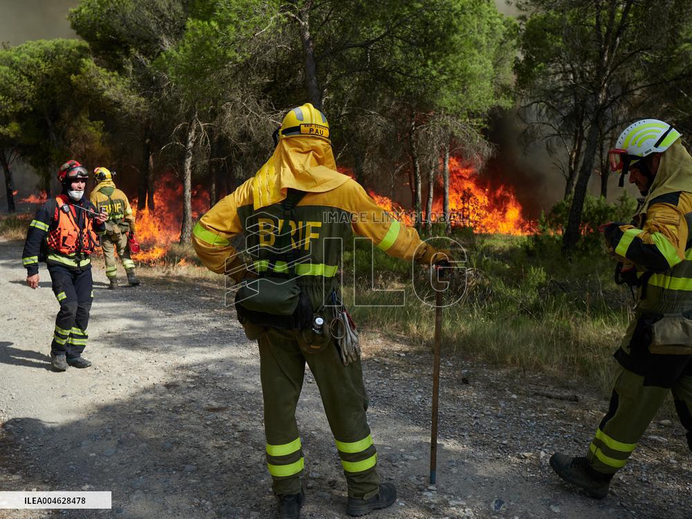 INFONA Plan Level 2 Upgrade Following Carcastillo Forest Fire - Spain