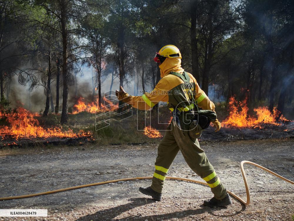 INFONA Plan Level 2 Upgrade Following Carcastillo Forest Fire - Spain