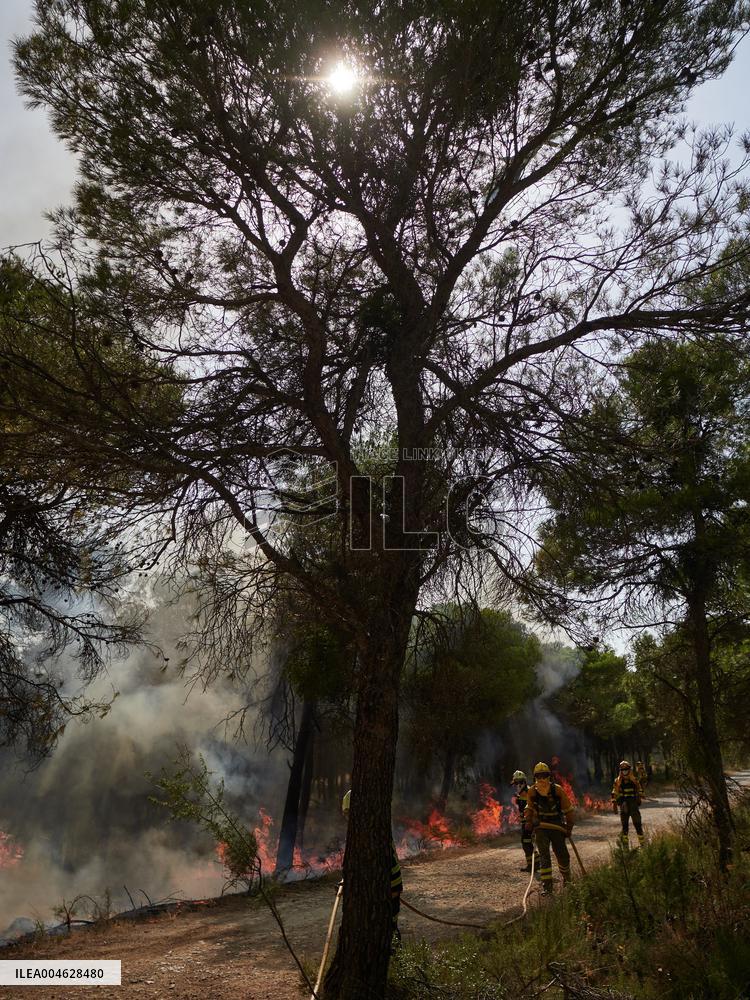 INFONA Plan Level 2 Upgrade Following Carcastillo Forest Fire - Spain
