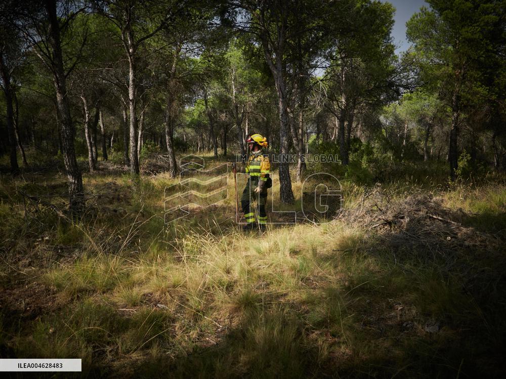 INFONA Plan Level 2 Upgrade Following Carcastillo Forest Fire - Spain