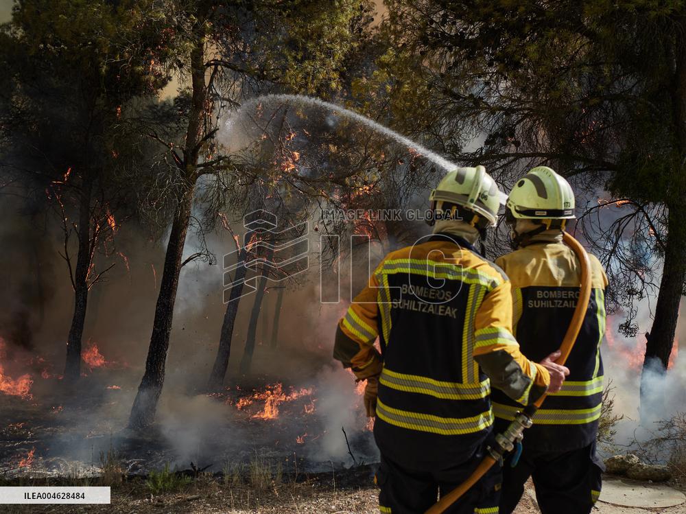 INFONA Plan Level 2 Upgrade Following Carcastillo Forest Fire - Spain