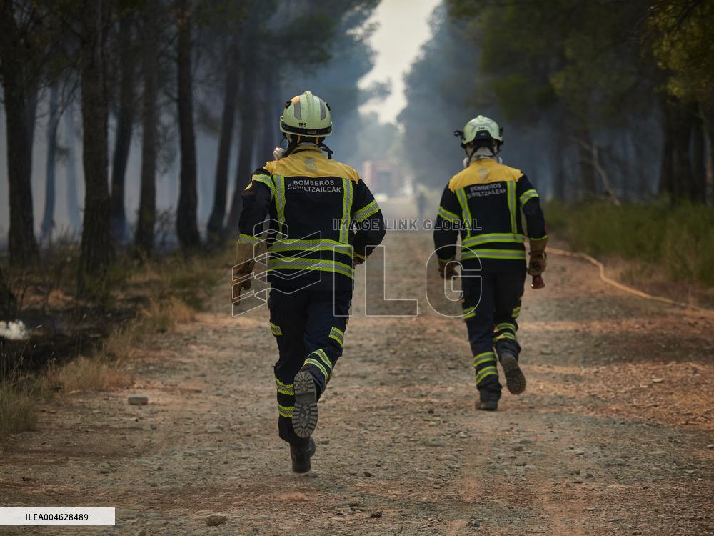 INFONA Plan Level 2 Upgrade Following Carcastillo Forest Fire - Spain