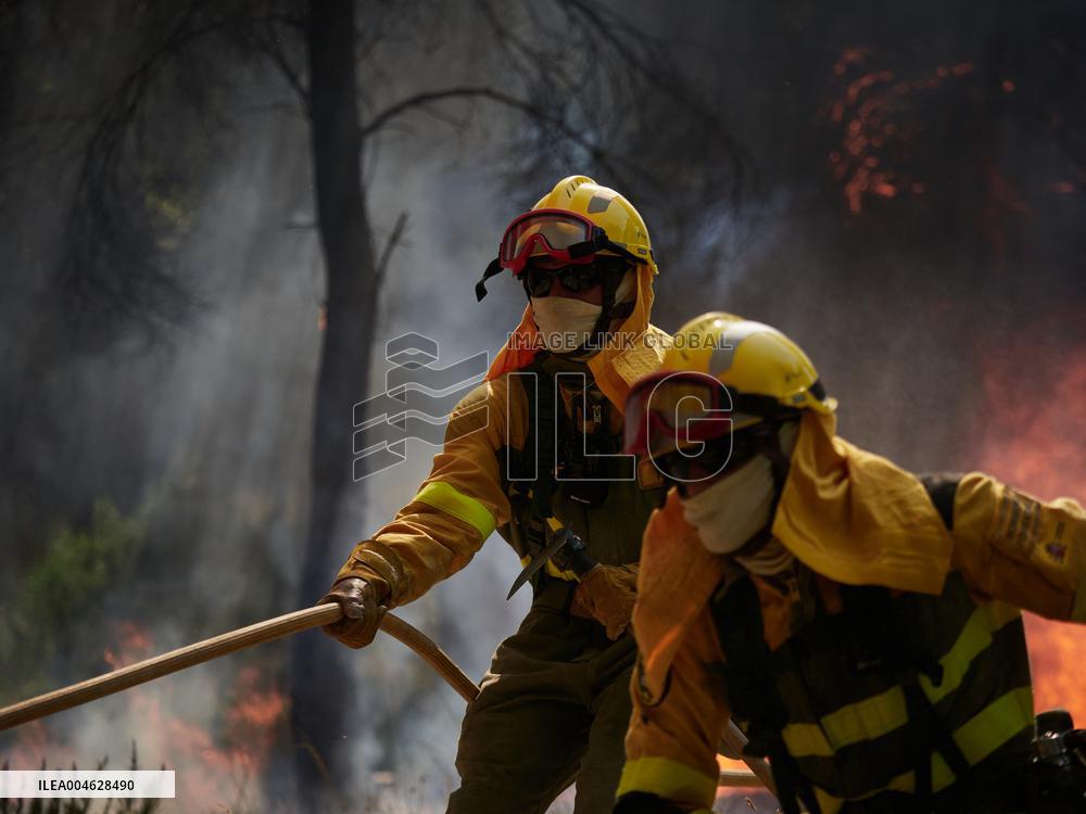 INFONA Plan Level 2 Upgrade Following Carcastillo Forest Fire - Spain