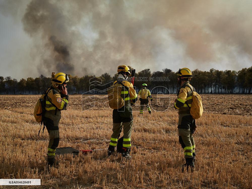INFONA Plan Level 2 Upgrade Following Carcastillo Forest Fire - Spain