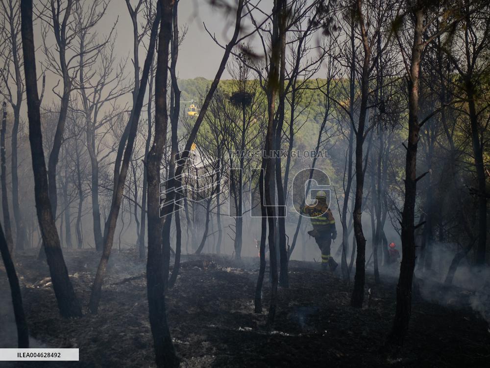 INFONA Plan Level 2 Upgrade Following Carcastillo Forest Fire - Spain