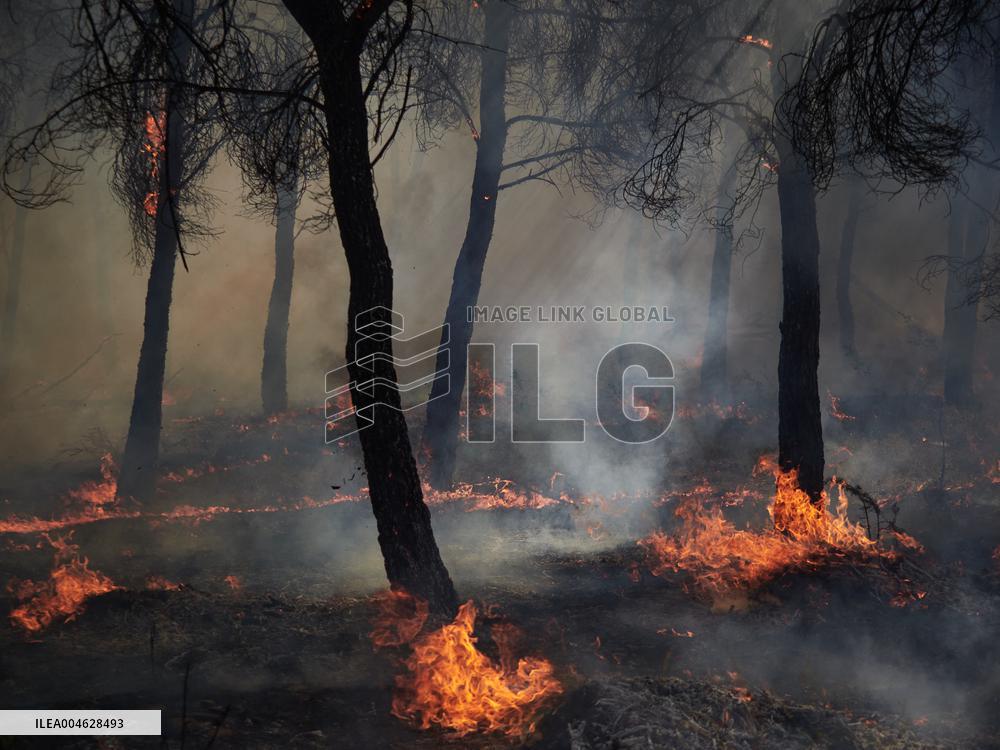 INFONA Plan Level 2 Upgrade Following Carcastillo Forest Fire - Spain