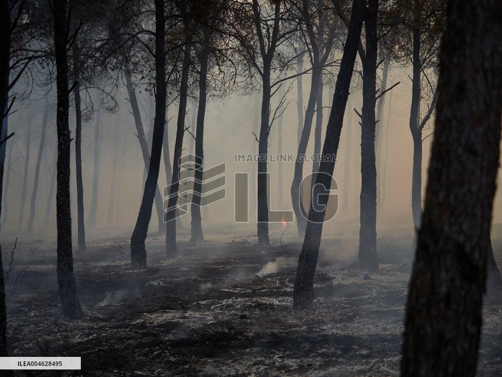 INFONA Plan Level 2 Upgrade Following Carcastillo Forest Fire - Spain