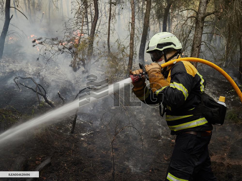 INFONA Plan Level 2 Upgrade Following Carcastillo Forest Fire - Spain