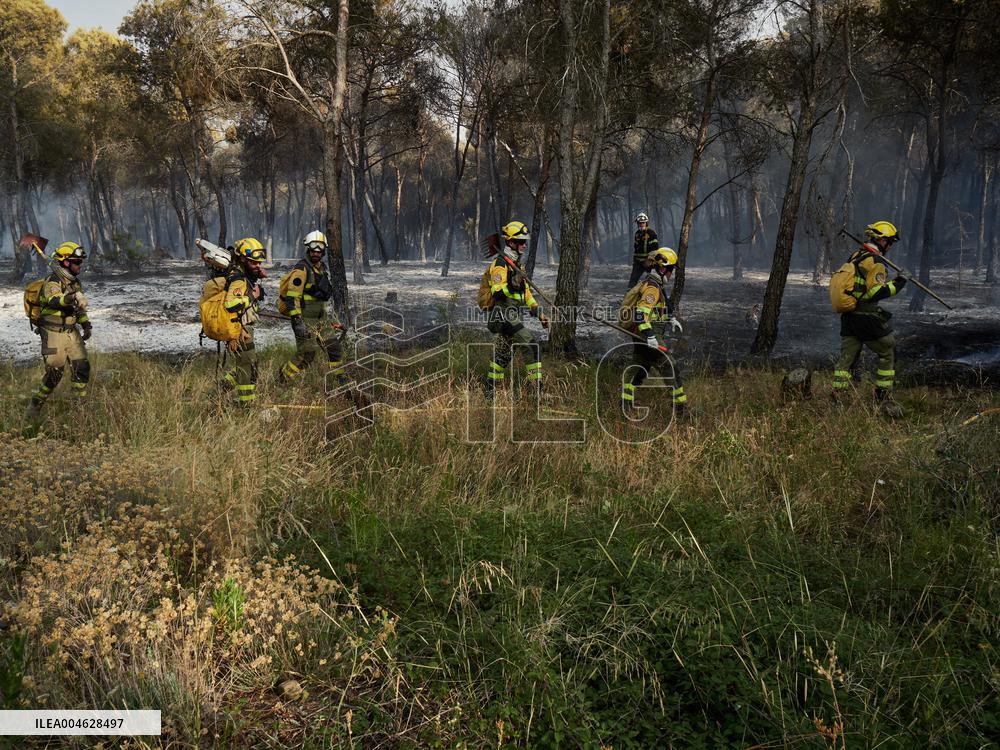 INFONA Plan Level 2 Upgrade Following Carcastillo Forest Fire - Spain