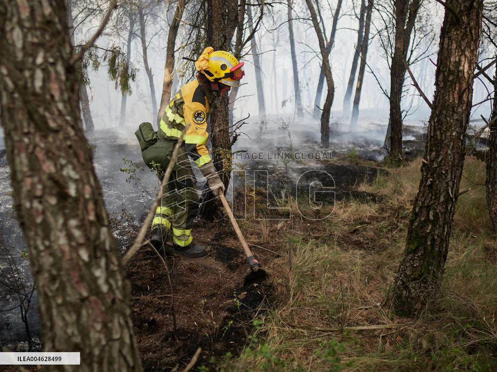 INFONA Plan Level 2 Upgrade Following Carcastillo Forest Fire - Spain