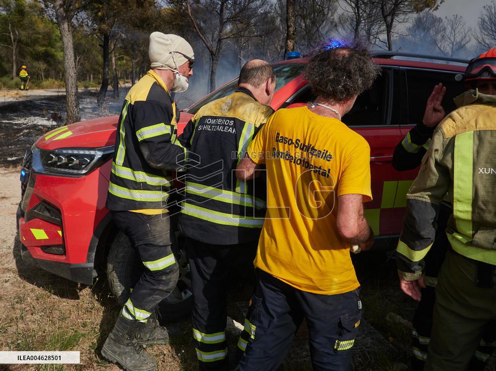 INFONA Plan Level 2 Upgrade Following Carcastillo Forest Fire - Spain