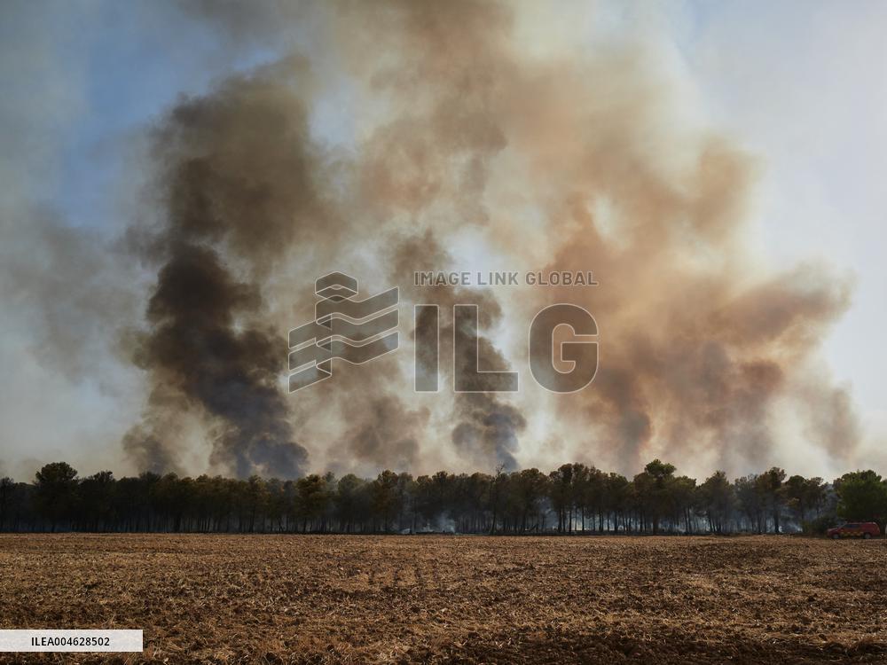 INFONA Plan Level 2 Upgrade Following Carcastillo Forest Fire - Spain