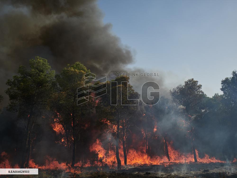 INFONA Plan Level 2 Upgrade Following Carcastillo Forest Fire - Spain