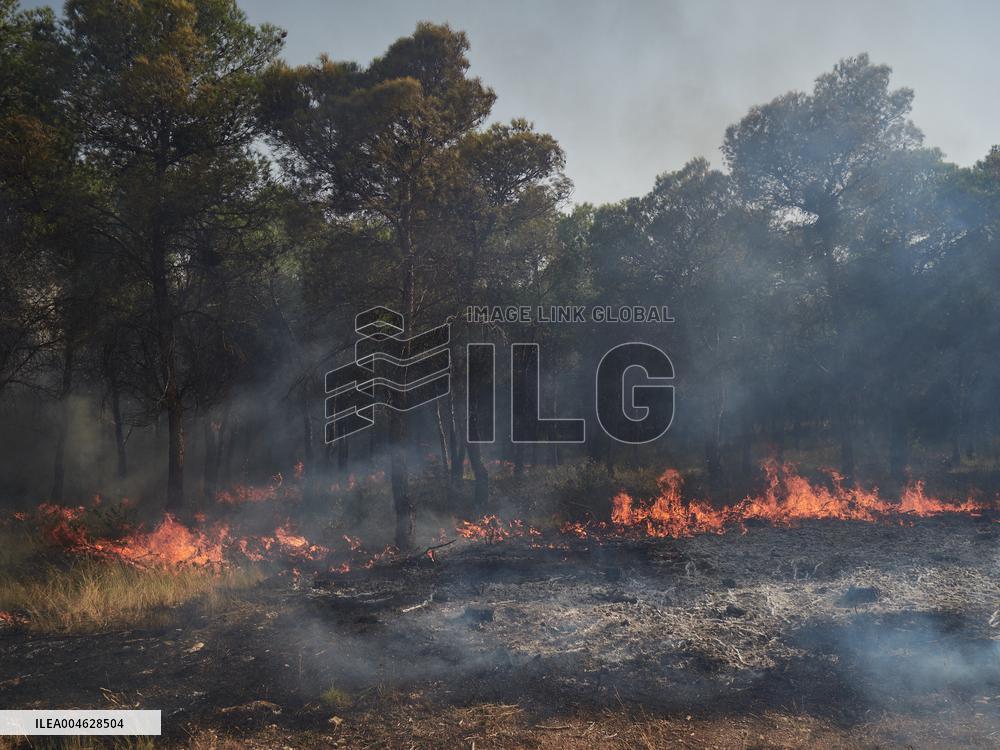 INFONA Plan Level 2 Upgrade Following Carcastillo Forest Fire - Spain