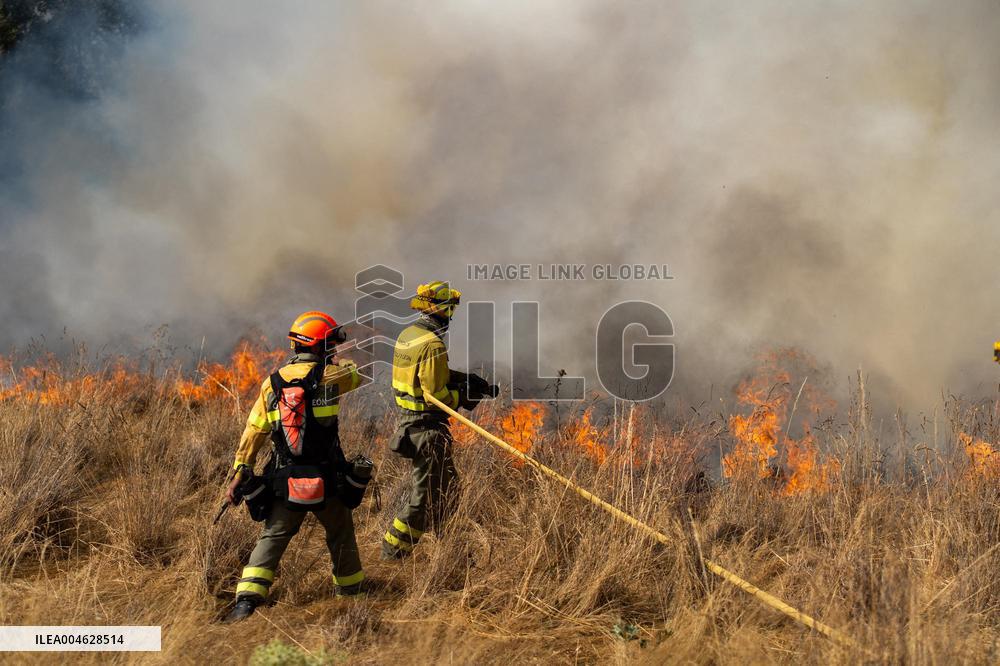 INFONA Plan Level 2 Upgrade Following Carcastillo Forest Fire - Spain