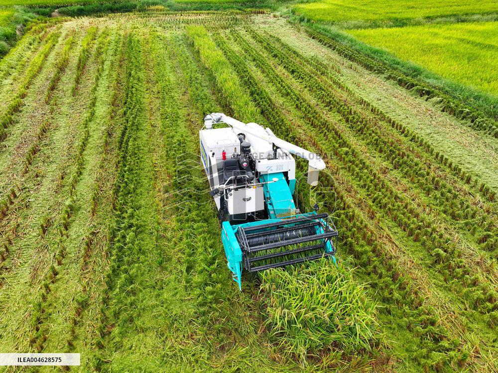 Sself Driving Harvester