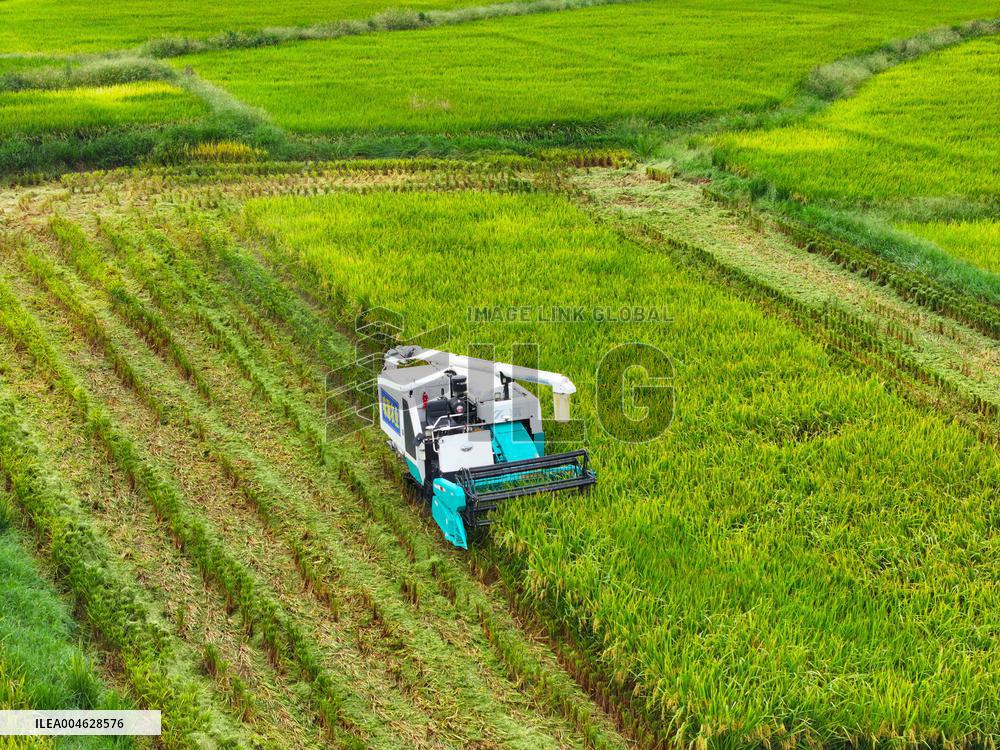 Sself Driving Harvester
