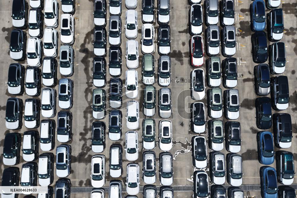 China New Energy Vehicle Exports