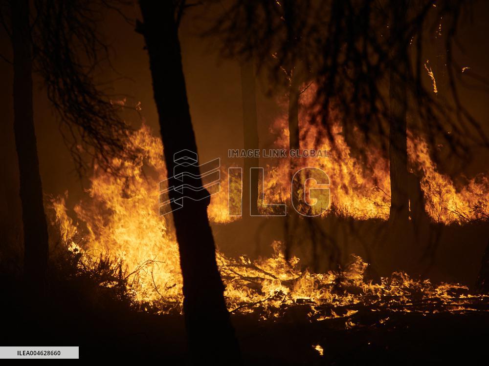 INFONA Plan Level 2 Upgrade Following Carcastillo Forest Fire - Spain