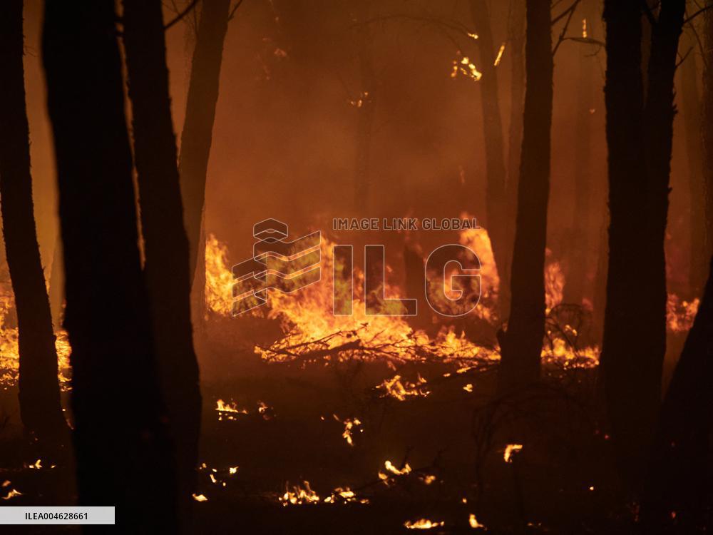 INFONA Plan Level 2 Upgrade Following Carcastillo Forest Fire - Spain