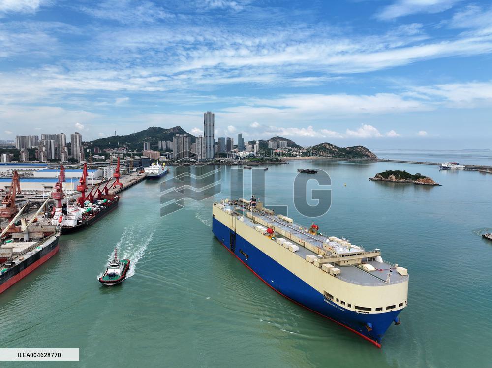 China New Energy Vehicle Exports