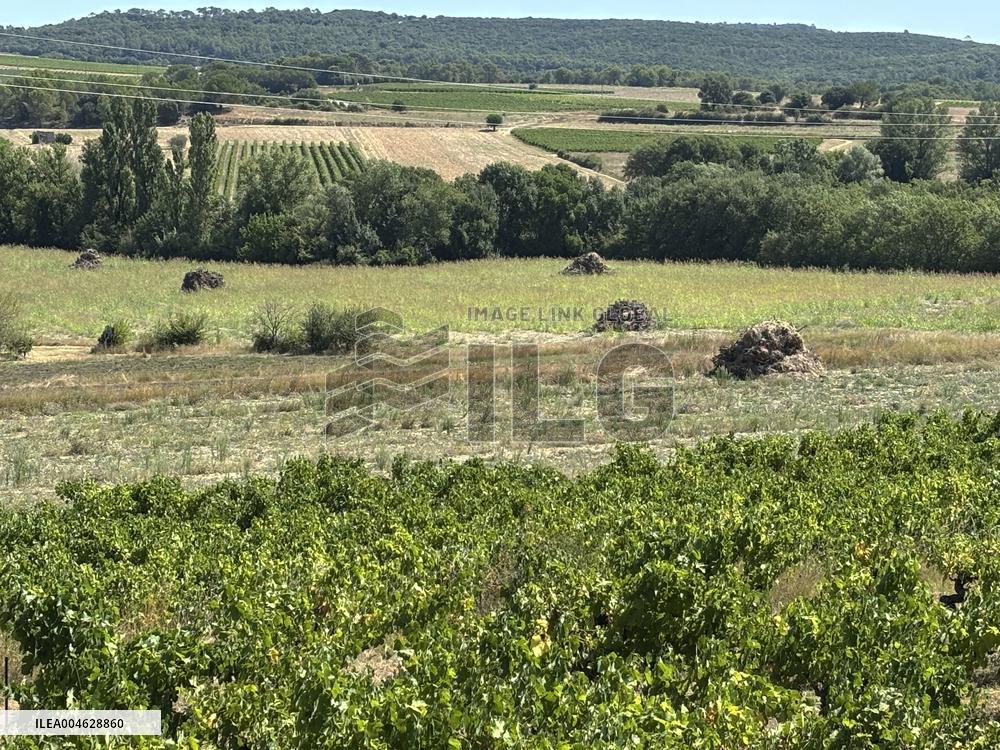 More Than 4 000 Hectares Of Vines Snapped in Gard - France