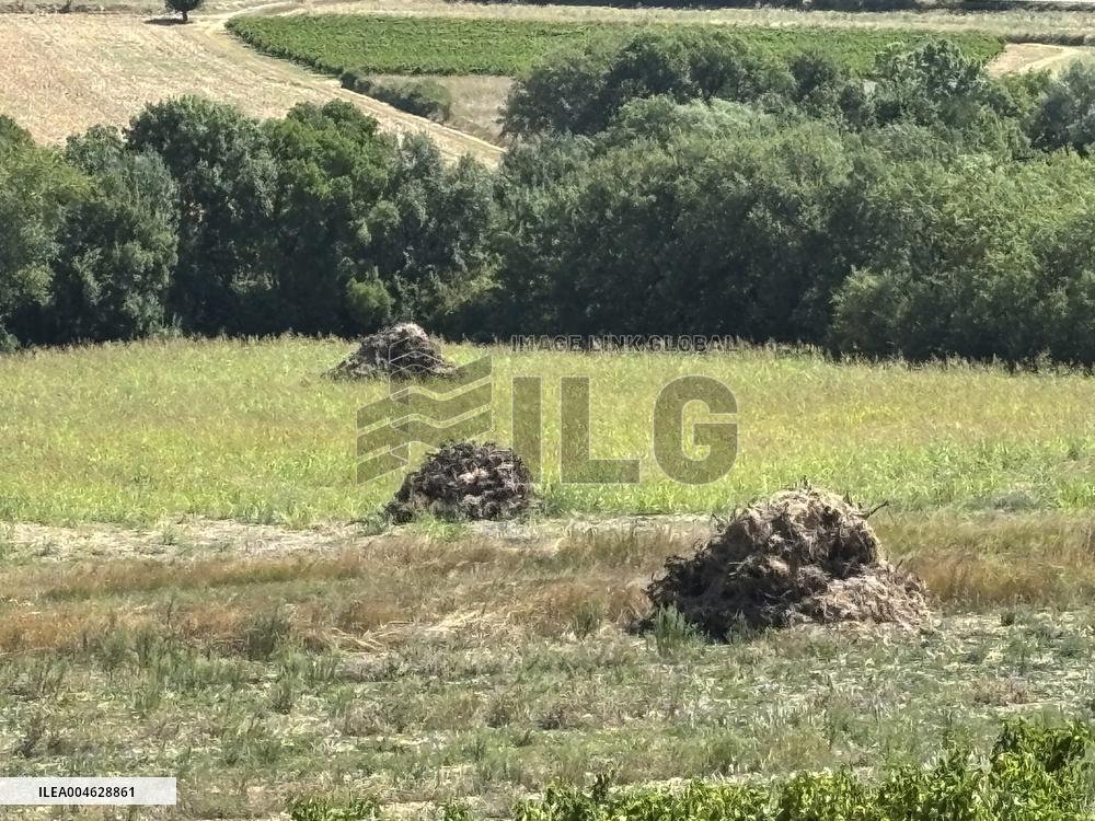 More Than 4 000 Hectares Of Vines Snapped in Gard - France