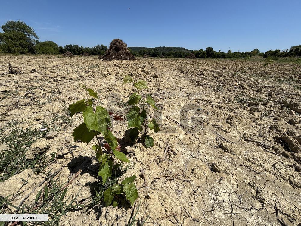 More Than 4 000 Hectares Of Vines Snapped in Gard - France