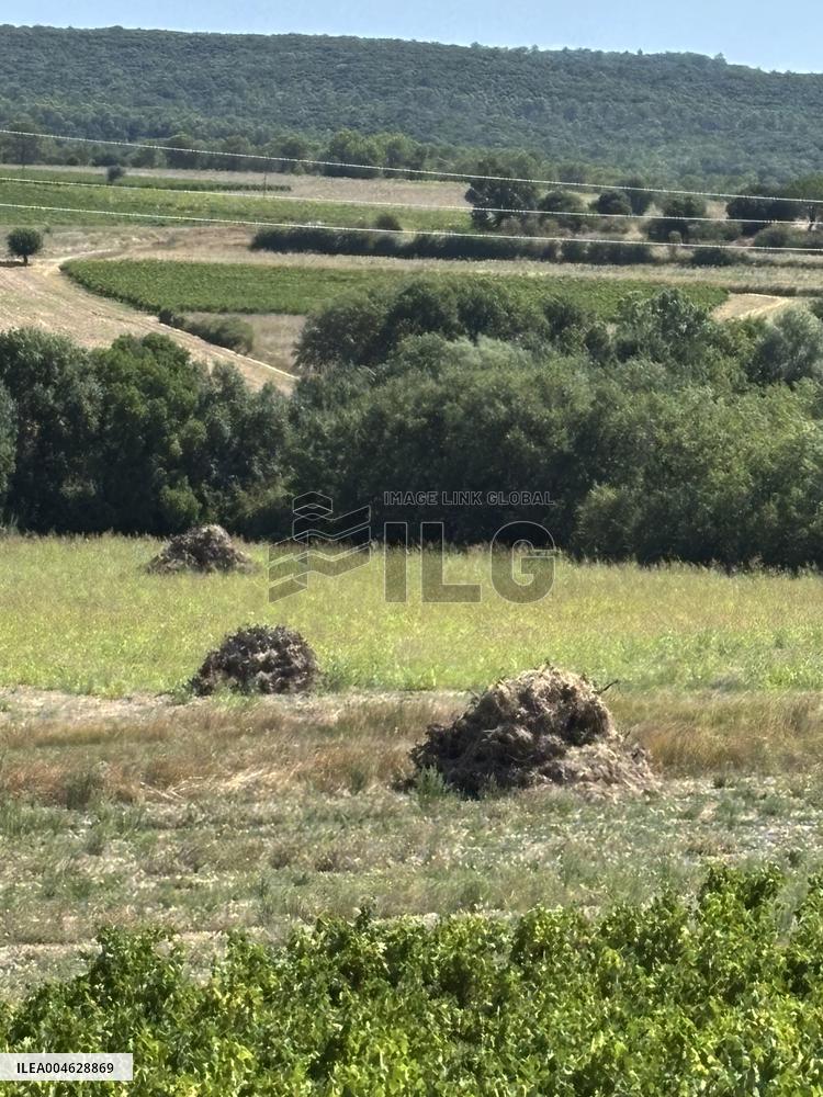 More Than 4 000 Hectares Of Vines Snapped in Gard - France