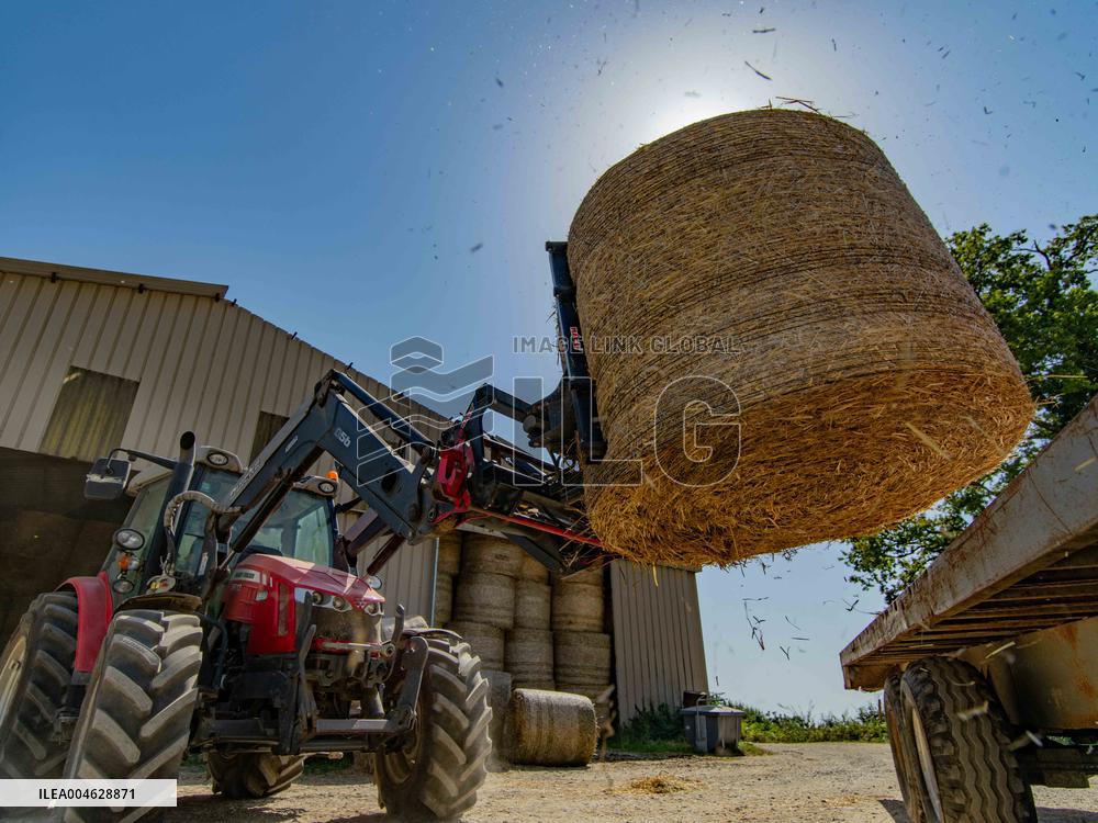 Illustration - Farming in Aveyron - France