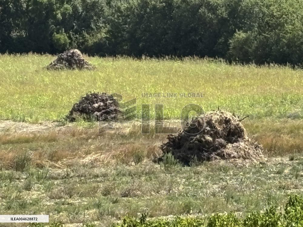 More Than 4 000 Hectares Of Vines Snapped in Gard - France